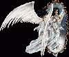 beli angel